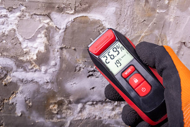 Best DIY Mold Remediation Support Services in Oshkosh, WI
