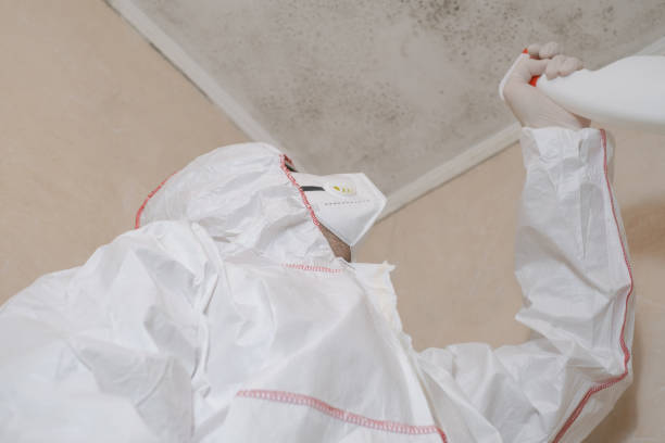 Best Residential Mold Remediation in Oshkosh, WI